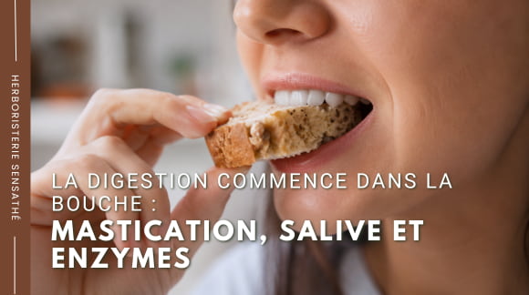 La digestion commence dans la bouche  mastication, salive et enzymes - Herboristerie Sensathé